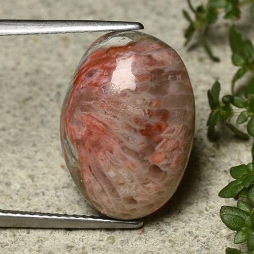 10.62캐럿 천연 다색 산호, 타원형 컷, 불투명체