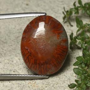 12.59캐럿 천연 다색 산호, 타원형 컷, 불투명체