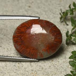 12.59캐럿 천연 다색 산호, 타원형 컷, 불투명체