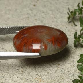 12.59캐럿 천연 다색 산호, 타원형 컷, 불투명체