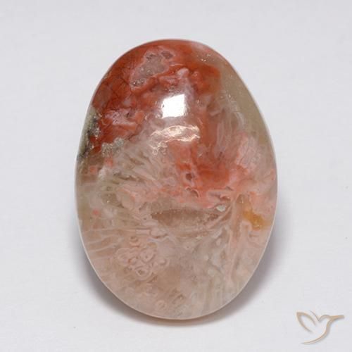 8.90ct 자연스러운 다색 산호, 타원형, 불투명체