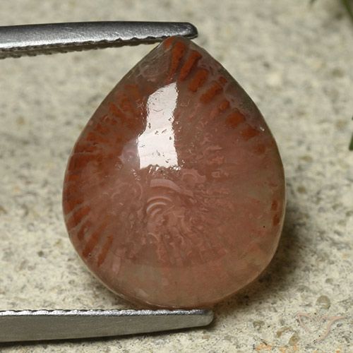6.87ct 자연스러운 다색 산호, 배 모양, 투명한