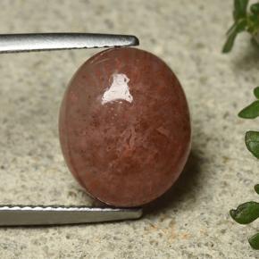 6.35캐럿 천연 다색 산호, 타원형 컷, 투명한