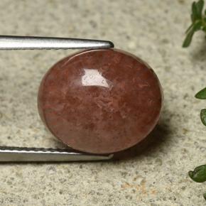 6.35캐럿 천연 다색 산호, 타원형 컷, 투명한