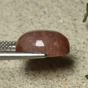 6.35캐럿 천연 다색 산호, 타원형 컷, 투명한