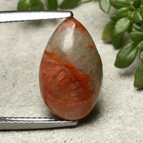 4.83캐럿 천연 다색 산호, 배 모양, 투명한