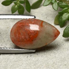 4.83캐럿 천연 다색 산호, 배 모양, 투명한