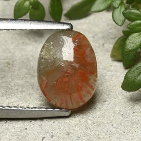 1.88캐럿 천연 다색 산호, 타원형 컷, 투명한