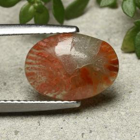 2.54캐럿 천연 다색 산호, 타원형 컷, 투명한