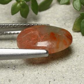 2.54캐럿 천연 다색 산호, 타원형 컷, 투명한