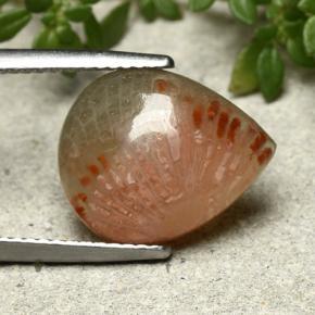 5.26캐럿 천연 다색 산호, 배 모양, 투명한