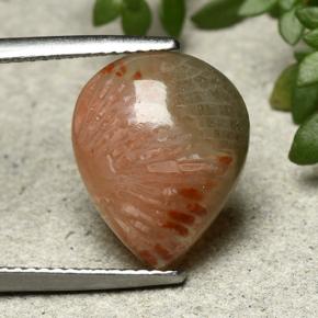 5.26캐럿 천연 다색 산호, 배 모양, 투명한