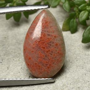 3.94캐럿 천연 멀티컬러 산호, 배 모양, 16.3×9.9 mm, 투명한