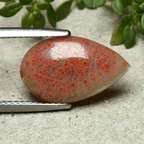 3.94캐럿 천연 멀티컬러 산호, 배 모양, 16.3×9.9 mm, 투명한