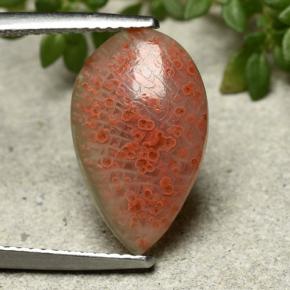 3.94캐럿 천연 멀티컬러 산호, 배 모양, 16.3×9.9 mm, 투명한