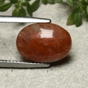 4.35캐럿 천연 다색 산호, 타원형 컷, 투명한