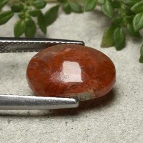 4.35캐럿 천연 다색 산호, 타원형 컷, 투명한