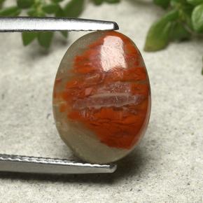 3.86캐럿 천연 멀티컬러 산호, 타원형 컷, 13.6×10.1 mm, 불투명체