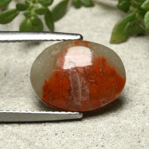 3.86캐럿 천연 멀티컬러 산호, 타원형 컷, 13.6×10.1 mm, 불투명체