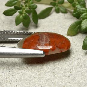 3.86캐럿 천연 멀티컬러 산호, 타원형 컷, 13.6×10.1 mm, 불투명체