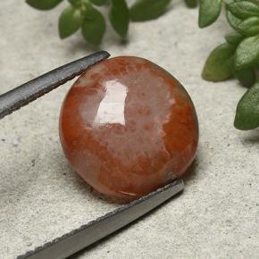 4.21캐럿 천연 멀티컬러 산호, 라운드 컷, 11.77 mm, 투명한