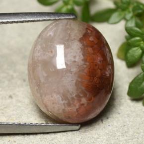 12.54캐럿 천연 다색 산호, 타원형 컷, 투명한