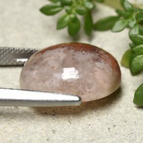 12.54캐럿 천연 다색 산호, 타원형 컷, 투명한