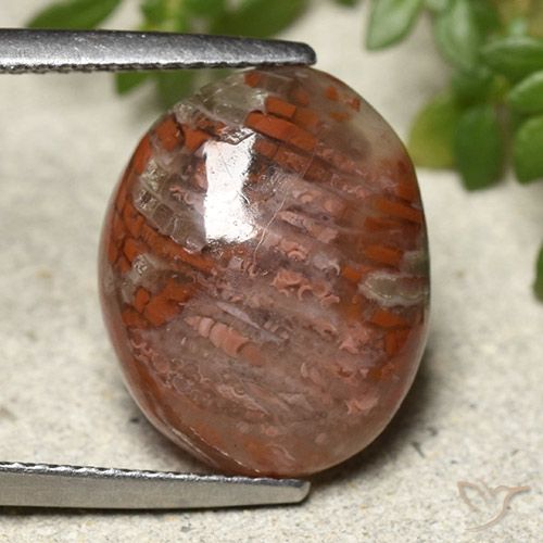 7.28ct 자연스러운 다색 산호, 타원형, 투명한