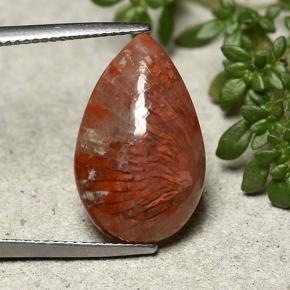 8.19캐럿 천연 멀티컬러 산호, 배 모양, 19.9×12.5 mm, 불투명체