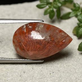 8.19캐럿 천연 멀티컬러 산호, 배 모양, 19.9×12.5 mm, 불투명체