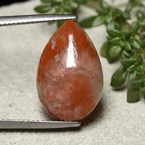 7.73캐럿 천연 멀티컬러 산호, 배 모양, 18.9×12.4 mm, 불투명체
