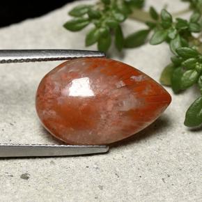 7.73캐럿 천연 멀티컬러 산호, 배 모양, 18.9×12.4 mm, 불투명체