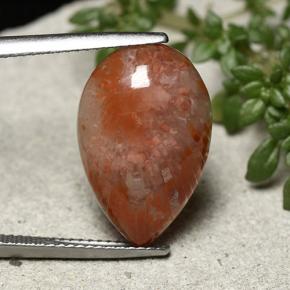 7.73캐럿 천연 멀티컬러 산호, 배 모양, 18.9×12.4 mm, 불투명체