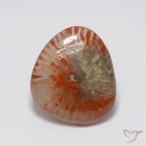 7.59ct 자연스러운 다색 산호, 팬시한, 투명한