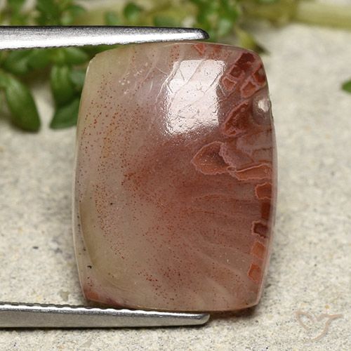 5.47캐럿 천연 다색 산호, 쿠션 컷, 투명한