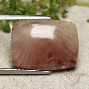 5.47캐럿 천연 다색 산호, 쿠션 컷, 투명한