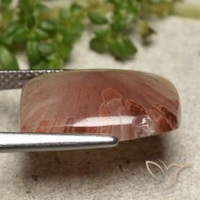 5.47캐럿 천연 다색 산호, 쿠션 컷, 투명한