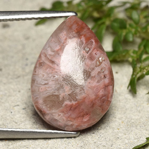5.89캐럿 천연 멀티컬러 산호, 배 모양, 16.1×11.5 mm, 불투명체