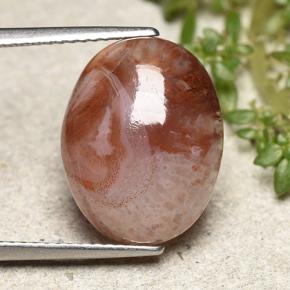 6.86캐럿 천연 다색 산호, 타원형 컷, 투명한