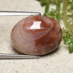 6.86캐럿 천연 다색 산호, 타원형 컷, 투명한