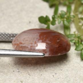 6.86캐럿 천연 다색 산호, 타원형 컷, 투명한