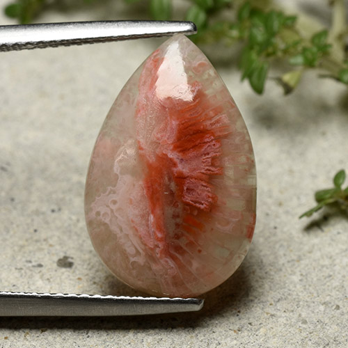 5.62캐럿 천연 다색 산호, 배 모양, 투명한