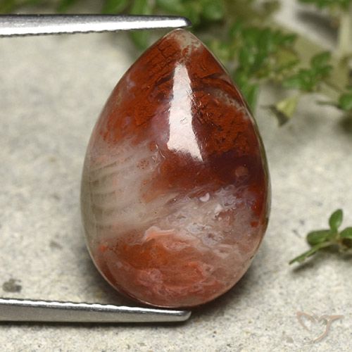 7.34캐럿 천연 다색 산호, 배 모양, 불투명체