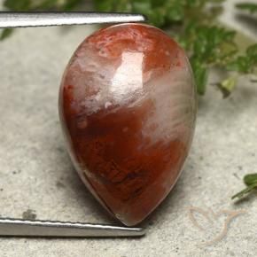 7.34캐럿 천연 다색 산호, 배 모양, 불투명체