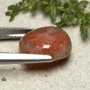 7.61캐럿 천연 멀티컬러 산호, 멋진 모양, 14.3×13.2 mm, 투명한