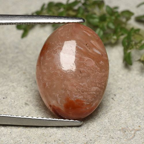 10.75ct 자연스러운 다색 산호, 타원형, 투명한