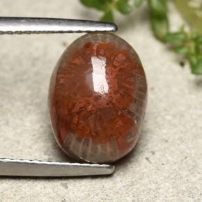 4.83캐럿 천연 다색 산호, 타원형 컷, 불투명체
