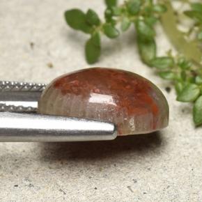 4.83캐럿 천연 다색 산호, 타원형 컷, 불투명체