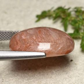 16.05캐럿 천연 멀티컬러 산호, 타원형 컷, 19.7×15.9 mm, 투명한