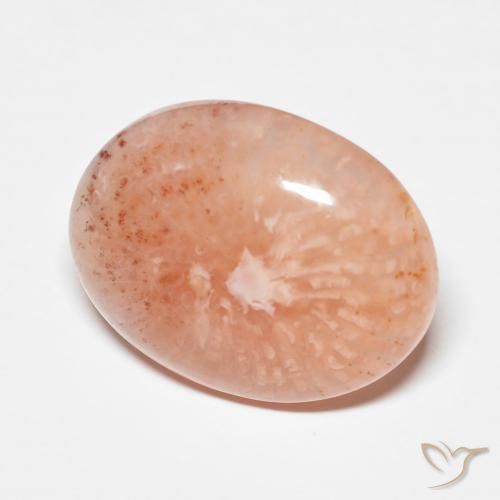 9.34캐럿 천연 멀티컬러 산호, 타원형 컷, 17.7×14 mm, 투명한